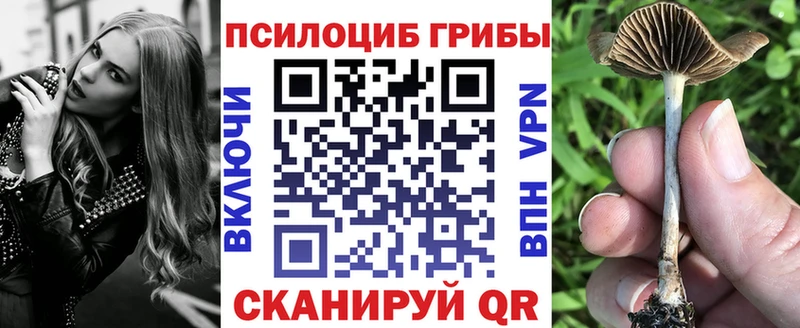 наркошоп  Порхов  Псилоцибиновые грибы ЛСД 