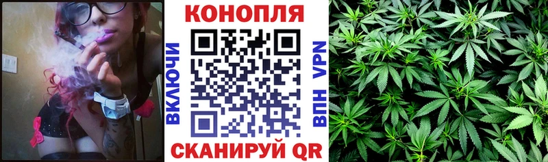 гидра   Порхов  МАРИХУАНА VHQ 